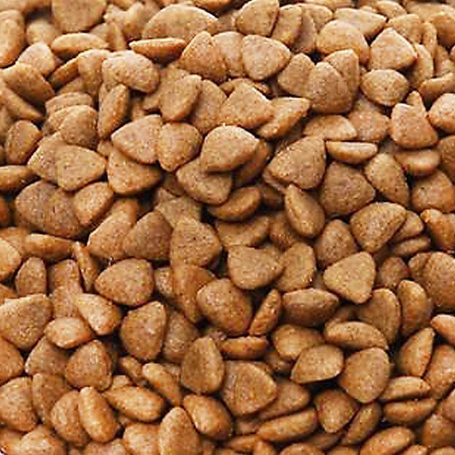 Dry Dog Food for Adult Dogs