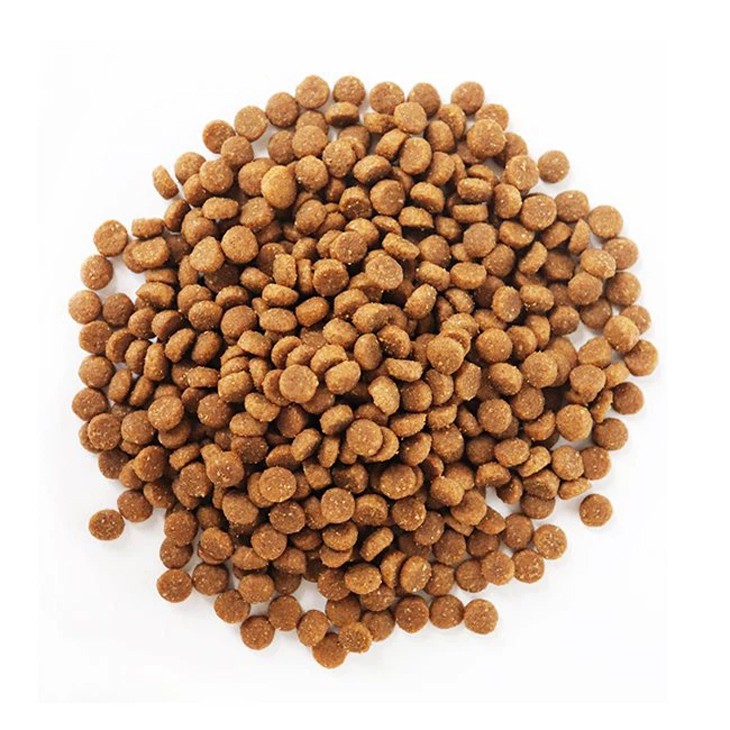 Dry Cat Food for Kitten