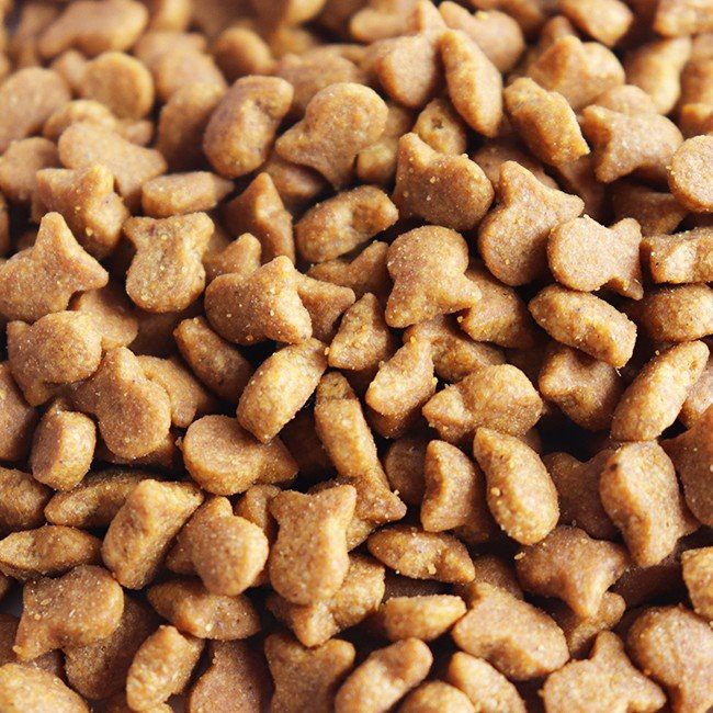 Dry Cat Food with Fish Shape