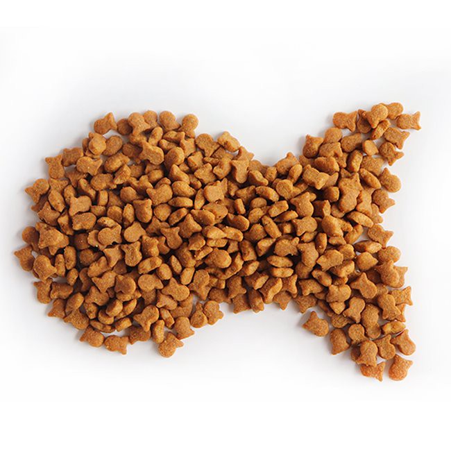 Dry Cat Food with Fish Shape